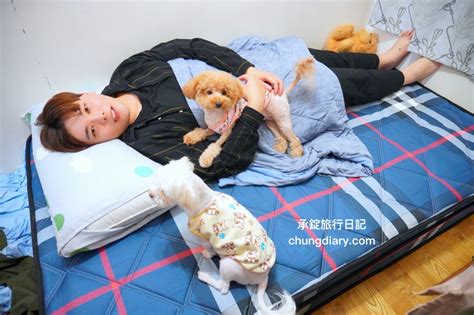 動物死了如何處理|「寵物過世」該怎麼處理？從辦理儀式、塔位價格到骨。